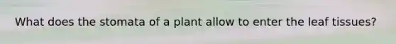 What does the stomata of a plant allow to enter the leaf tissues?