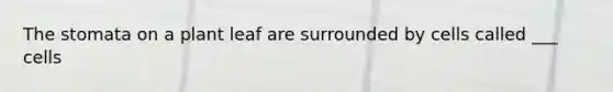 The stomata on a plant leaf are surrounded by cells called ___ cells
