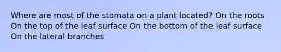 Where are most of the stomata on a plant located? On the roots On the top of the leaf surface On the bottom of the leaf surface On the lateral branches