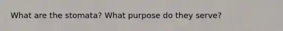 What are the stomata? What purpose do they serve?