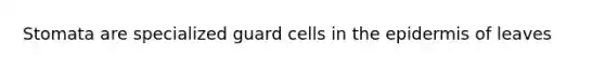 Stomata are specialized guard cells in the epidermis of leaves