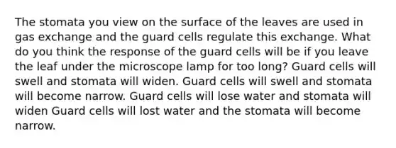 The stomata you view on the surface of the leaves are used in gas exchange and the guard cells regulate this exchange. What do you think the response of the guard cells will be if you leave the leaf under the microscope lamp for too long? Guard cells will swell and stomata will widen. Guard cells will swell and stomata will become narrow. Guard cells will lose water and stomata will widen Guard cells will lost water and the stomata will become narrow.