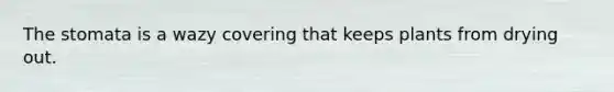 The stomata is a wazy covering that keeps plants from drying out.