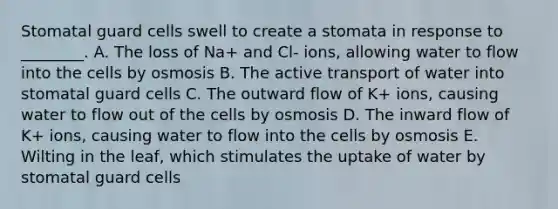 Stomatal guard cells swell to create a stomata in response to ________. A. The loss of Na+ and Cl- ions, allowing water to flow into the cells by osmosis B. The active transport of water into stomatal guard cells C. The outward flow of K+ ions, causing water to flow out of the cells by osmosis D. The inward flow of K+ ions, causing water to flow into the cells by osmosis E. Wilting in the leaf, which stimulates the uptake of water by stomatal guard cells