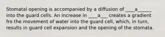 Stomatal opening is accompanied by a diffusion of ____a______ into the guard cells. An increase in ____a___ creates a gradient fro the movement of water into the guard cell, which, in turn, results in guard cell expansion and the opening of the stomata.