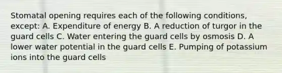 Stomatal opening requires each of the following conditions, except: A. Expenditure of energy B. A reduction of turgor in the guard cells C. Water entering the guard cells by osmosis D. A lower water potential in the guard cells E. Pumping of potassium ions into the guard cells