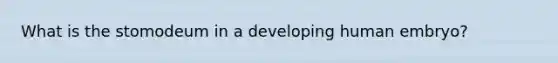 What is the stomodeum in a developing human embryo?