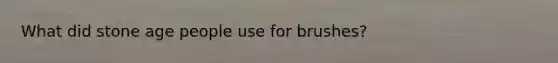 What did stone age people use for brushes?