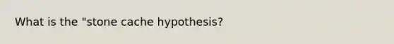 What is the "stone cache hypothesis?