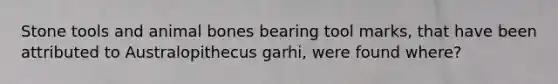 Stone tools and animal bones bearing tool marks, that have been attributed to Australopithecus garhi, were found where?