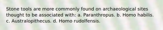 Stone tools are more commonly found on archaeological sites thought to be associated with: a. Paranthropus. b. Homo habilis. c. Australopithecus. d. Homo rudolfensis.