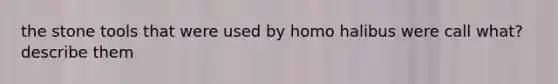 the stone tools that were used by homo halibus were call what? describe them