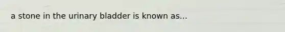 a stone in the urinary bladder is known as...