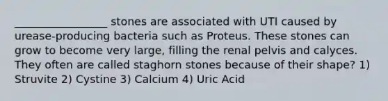 _________________ stones are associated with UTI caused by urease-producing bacteria such as Proteus. These stones can grow to become very large, filling the renal pelvis and calyces. They often are called staghorn stones because of their shape? 1) Struvite 2) Cystine 3) Calcium 4) Uric Acid