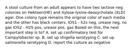 A stool culture from an adult appears to have two lactose neg colonies on Hektoen(HE) and Xylose-lysine-deoxycholate (XLD) agar. One colony type remains the original color of each media and the other has black centers. IOS1 - h2s neg, urease neg, no gas IOS2 - H2S pos, urease pos, gas Based on this, the next important step is to? A. set up confirmatory test for Campylobacter sp. B. set up shigella serotyping C. set up salmonella serotyping D. report the culture as negative