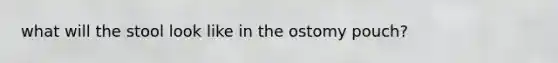 what will the stool look like in the ostomy pouch?