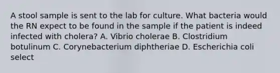 A stool sample is sent to the lab for culture. What bacteria would the RN expect to be found in the sample if the patient is indeed infected with cholera? A. Vibrio cholerae B. Clostridium botulinum C. Corynebacterium diphtheriae D. Escherichia coli select