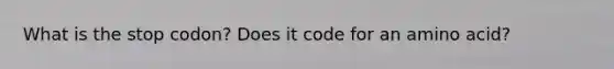 What is the stop codon? Does it code for an amino acid?