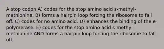 A stop codon A) codes for the stop amino acid s-methyl-methionine. B) forms a hairpin loop forcing the ribosome to fall off. C) codes for no amino acid. D) enhances the binding of the e-polymerase. E) codes for the stop amino acid s-methyl-methionine AND forms a hairpin loop forcing the ribosome to fall off.