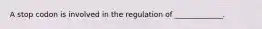 A stop codon is involved in the regulation of _____________.