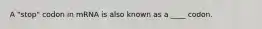 A "stop" codon in mRNA is also known as a ____ codon.