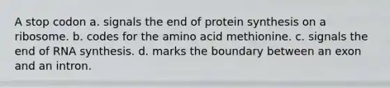 A stop codon a. signals the end of protein synthesis on a ribosome. b. codes for the amino acid methionine. c. signals the end of RNA synthesis. d. marks the boundary between an exon and an intron.