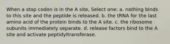 When a stop codon is in the A site, Select one: a. nothing binds to this site and the peptide is released. b. the tRNA for the last amino acid of the protein binds to the A site. c. the ribosome subunits immediately separate. d. release factors bind to the A site and activate peptidyltransferase.