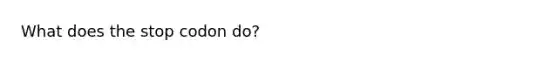 What does the stop codon do?