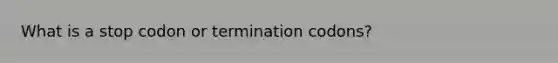 What is a stop codon or termination codons?