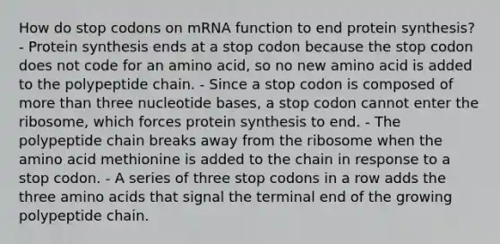 How do stop codons on mRNA function to end protein synthesis? - Protein synthesis ends at a stop codon because the stop codon does not code for an amino acid, so no new amino acid is added to the polypeptide chain. - Since a stop codon is composed of more than three nucleotide bases, a stop codon cannot enter the ribosome, which forces protein synthesis to end. - The polypeptide chain breaks away from the ribosome when the amino acid methionine is added to the chain in response to a stop codon. - A series of three stop codons in a row adds the three amino acids that signal the terminal end of the growing polypeptide chain.