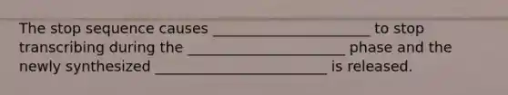 The stop sequence causes ______________________ to stop transcribing during the ______________________ phase and the newly synthesized ________________________ is released.