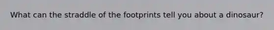 What can the straddle of the footprints tell you about a dinosaur?