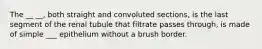 The __ __, both straight and convoluted sections, is the last segment of the renal tubule that filtrate passes through, is made of simple ___ epithelium without a brush border.