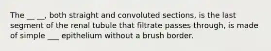 The __ __, both straight and convoluted sections, is the last segment of the renal tubule that filtrate passes through, is made of simple ___ epithelium without a brush border.