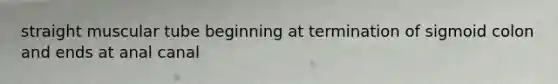 straight muscular tube beginning at termination of sigmoid colon and ends at anal canal