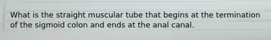 What is the straight muscular tube that begins at the termination of the sigmoid colon and ends at the anal canal.