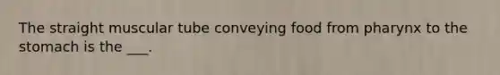 The straight muscular tube conveying food from pharynx to the stomach is the ___.