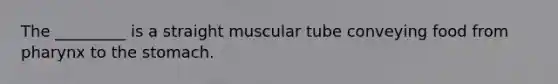 The _________ is a straight muscular tube conveying food from pharynx to the stomach.