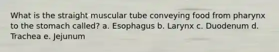 What is the straight muscular tube conveying food from pharynx to the stomach called? a. Esophagus b. Larynx c. Duodenum d. Trachea e. Jejunum