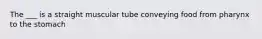 The ___ is a straight muscular tube conveying food from pharynx to the stomach