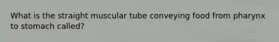 What is the straight muscular tube conveying food from pharynx to stomach called?