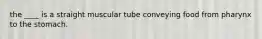 the ____ is a straight muscular tube conveying food from pharynx to the stomach.