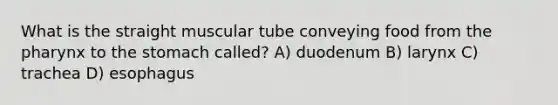 What is the straight muscular tube conveying food from <a href='https://www.questionai.com/knowledge/ktW97n6hGJ-the-pharynx' class='anchor-knowledge'>the pharynx</a> to <a href='https://www.questionai.com/knowledge/kLccSGjkt8-the-stomach' class='anchor-knowledge'>the stomach</a> called? A) duodenum B) larynx C) trachea D) esophagus