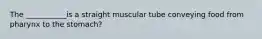 The ___________is a straight muscular tube conveying food from pharynx to the stomach?