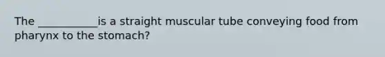 The ___________is a straight muscular tube conveying food from pharynx to the stomach?