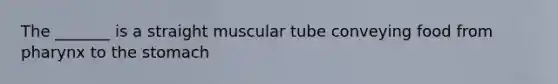 The _______ is a straight muscular tube conveying food from pharynx to the stomach