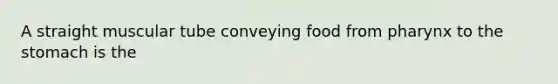 A straight muscular tube conveying food from pharynx to the stomach is the