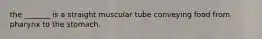 the _______ is a straight muscular tube conveying food from pharynx to the stomach.