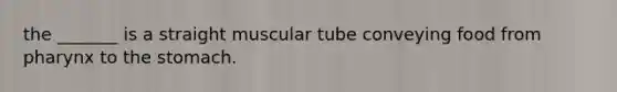 the _______ is a straight muscular tube conveying food from pharynx to <a href='https://www.questionai.com/knowledge/kLccSGjkt8-the-stomach' class='anchor-knowledge'>the stomach</a>.