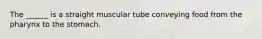 The ______ is a straight muscular tube conveying food from the pharynx to the stomach.